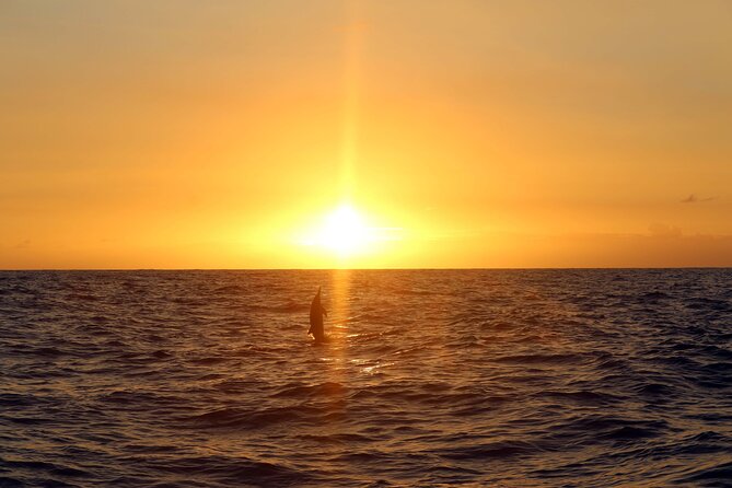 Premium Snorkel Sunset Cruise with Whale and Dolphin Watch - After snorkeling: showers, changing rooms, and the dinner rhythm