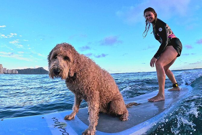 Private 1-on-1 Surf Lesson with Videos and Photos - Photos and Videos Sent the Same Day: The Real Keepsake