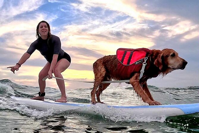 Private 1-on-1 Surf Lesson with Videos and Photos - Who This Works Best For (And When to Rethink)