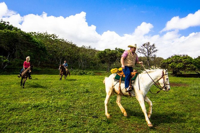 Private Advanced Trail Ride - Wranglers On Hand: Why Private Coaching Makes a Difference