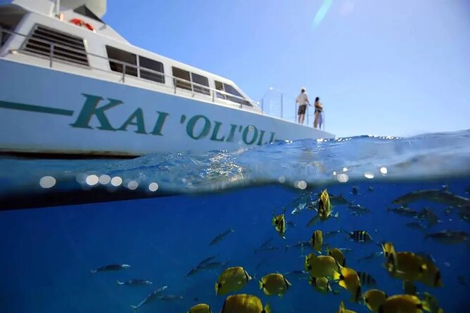 Private and Luxurious Sunset Cruise with Whale & Dolphin Watch - Key things to know before you go