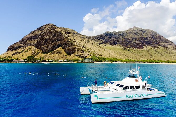 Private and Luxurious Sunset Cruise with Whale & Dolphin Watch - Weather and timing: how the cruise stays reliable