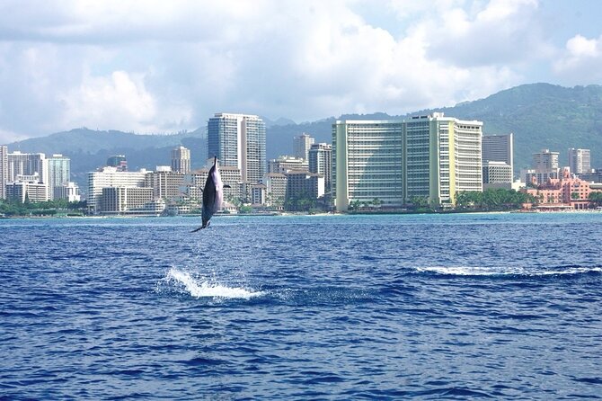 Private Boat Charter in Waikiki for Snorkeling and Events - Who This Is Best For (and Who Should Reconsider)