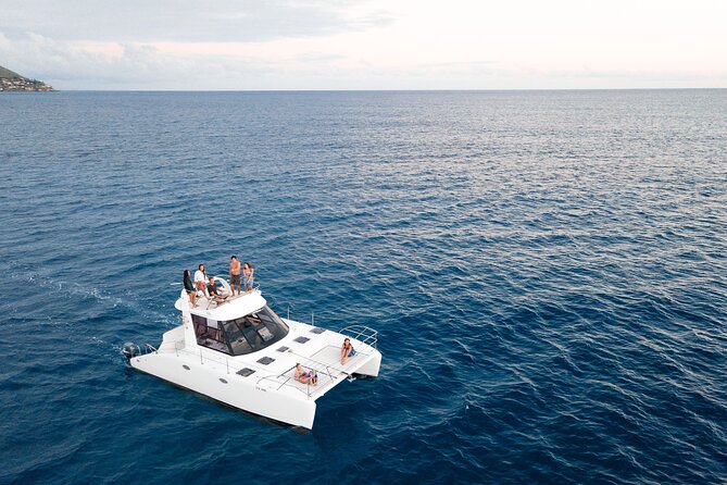Private Catamaran Cruise and Snorkeling Tour in Honolulu - Wildlife spotting: turtles, dolphins, whales, and the surprise extras