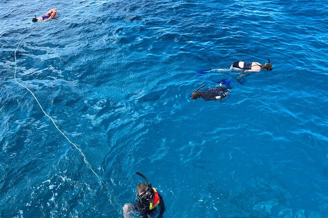 Private Catamaran Cruise and Snorkeling Tour in Honolulu - Snorkeling reality check: what works well in practice