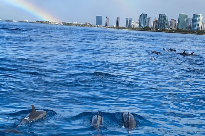 Private Catamaran Cruise and Snorkeling Tour in Honolulu - Who this Honolulu catamaran fits best