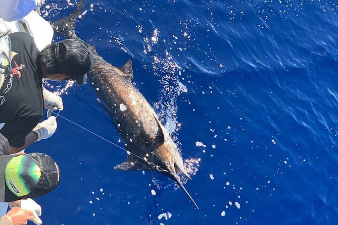 Private Deep Sea Full-Day Fishing Charter in Hawaiian Waters - How a Full-Day Charter Actually Feels When the Fishing Slows