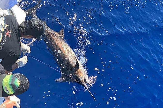 Private Deep Sea Full-Day Fishing Charter in Hawaiian Waters - Being Hands-On vs Watching: Decide Early How You Want the Day
