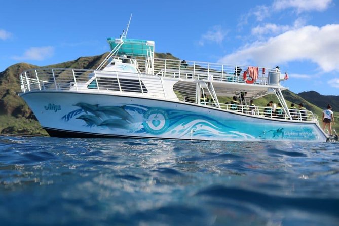 Private Dolphin Swim with Slide for up to 15 Passengers - Private 55-foot charter: what you really get for your money