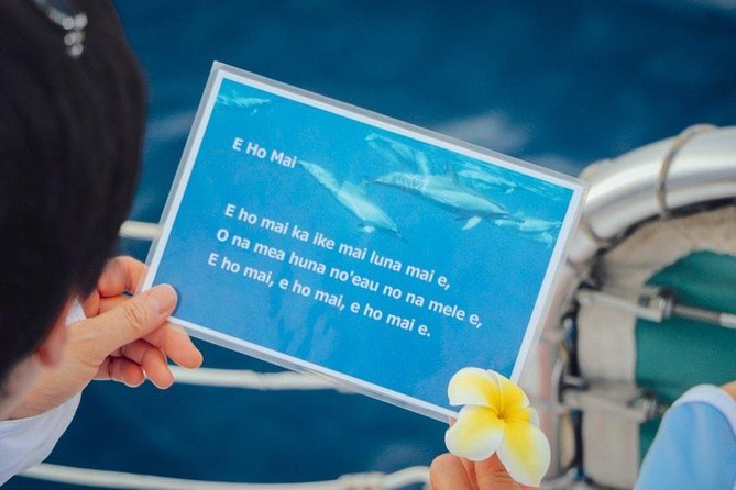 Private Dolphin Swim with Slide for up to 15 Passengers - Who this charter is perfect for (and who should think twice)