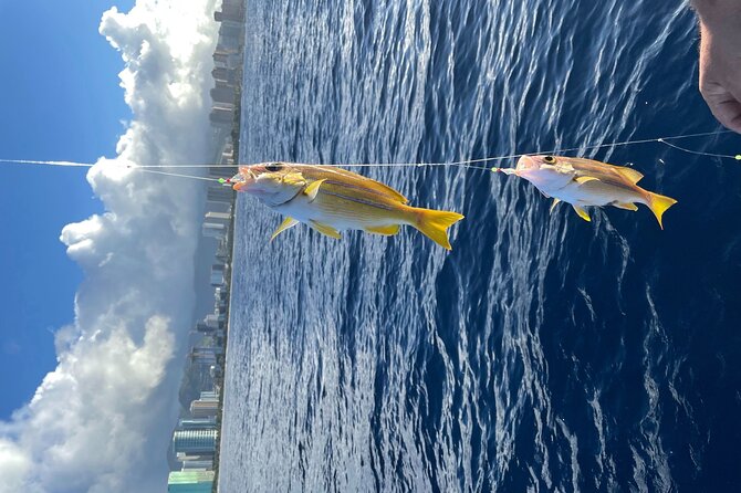 Private Fishing Charter for Family and Friends in Honolulu - Views that don’t require any effort