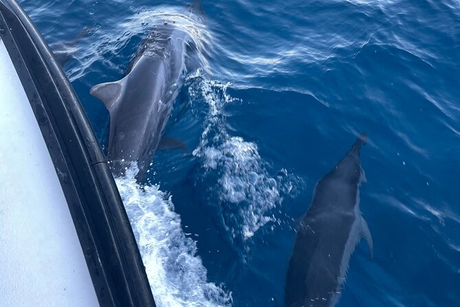 Private Fishing Charter for Family and Friends in Honolulu - What’s included vs. what you need to bring