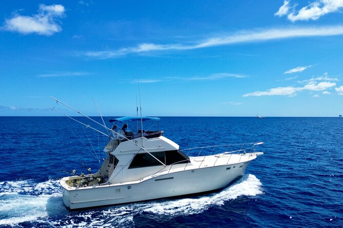 Private Luxury Sportfishing Experience Aboard Limitless - Comfort and On-Board Setup: More Than Just a Pretty Boat