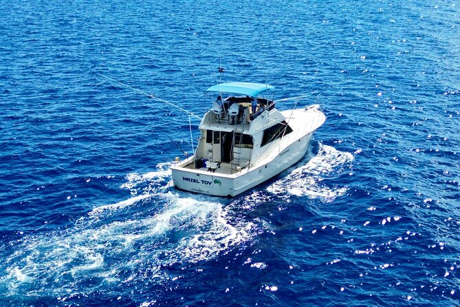 Private Luxury Sportfishing Experience Aboard Limitless - Wildlife Moments: The Ocean Shows Up Even When Fishing Slows