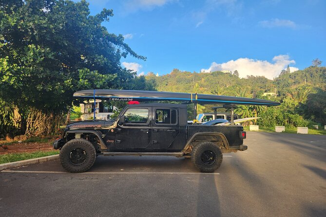 Private North Shore Hawaiian outrigger Canoe and turtle adventure - Practical Stuff: Timing, Conditions, and What to Expect Day-Of