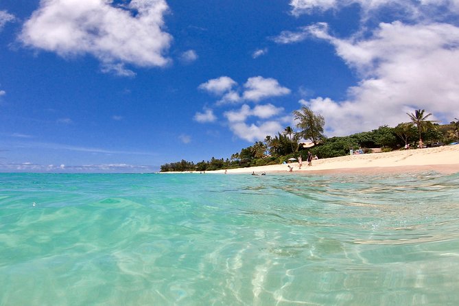 Private Oahu Pearl Harbor and Island Sightseeing Combination Tour - Central and farm-country fun: Dole and coffee farms