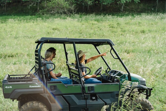 Private Off-Road Adventure Tour - Key Things You’ll Notice on This Gunstock Off-Road Tour