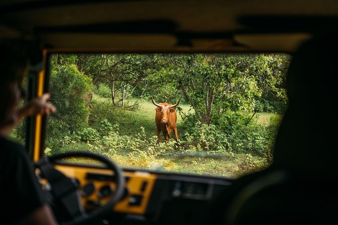 Private Off-Road Adventure Tour - How the Guide Turns a Ride into a Story