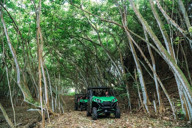 Private Off Road Explorer's Tour - Gunstock Ranch on Oahu’s North Shore: why this UTV feels more personal