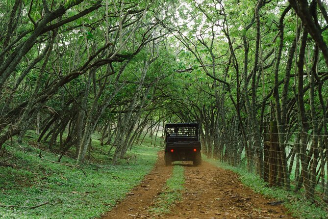 Private Off Road Explorer's Tour - The one-hour reality: timing, comfort, water, and photos