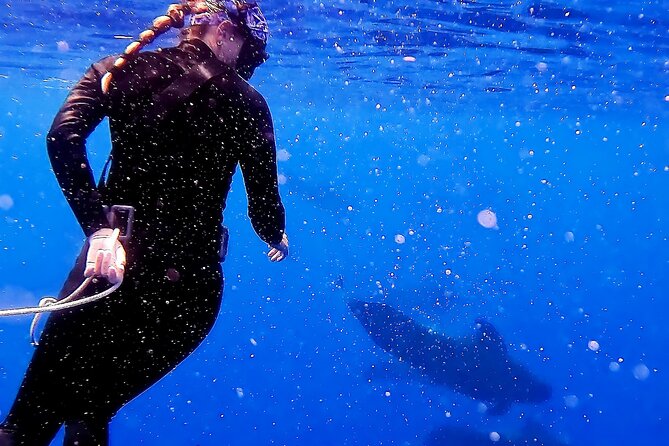 Private Sea’fari Expedition • 8 Guests Included (Expandable) - Price and What You’re Actually Buying at $1,900 per Group