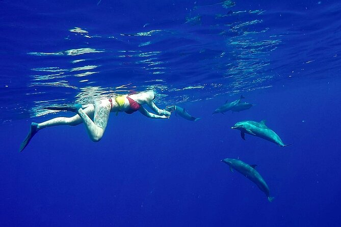 Private Sea’fari Expedition • 8 Guests Included (Expandable) - The Route: Ka‘ena Point State Park and Makaha Beach Park