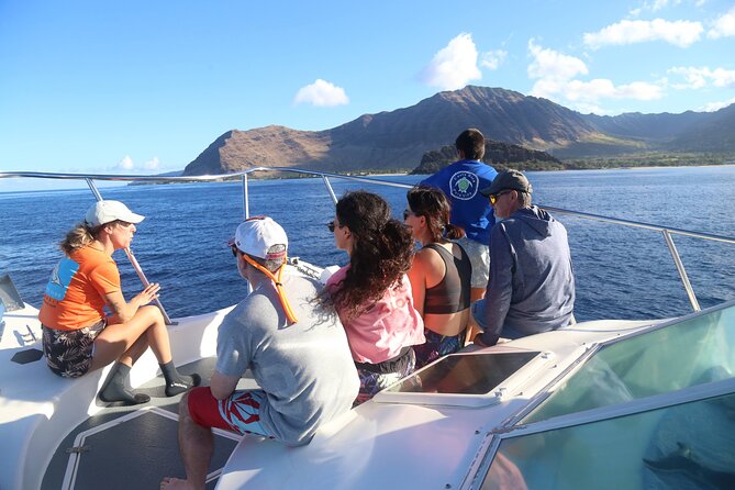 Private Sea’fari Expedition • 8 Guests Included (Expandable) - Ethical Wildlife Encounters: Safety and Respect Drive the Experience