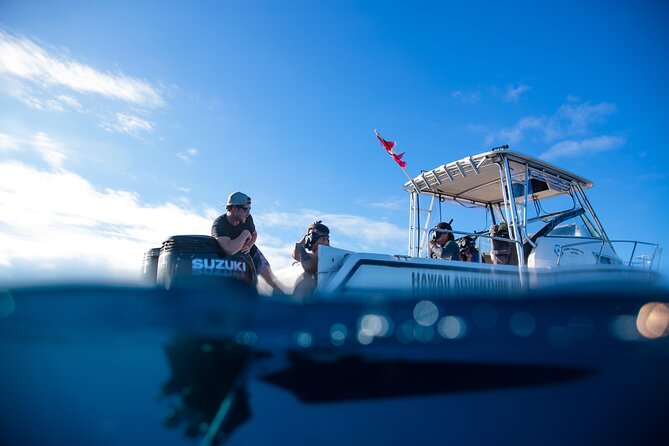 Private Shark Dive, Oahu, Hawaii (6 Guest) - A small-group setup that makes shark time feel personal