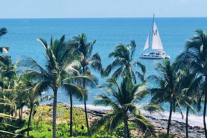 Private Snorkel Trip from Oahu on a Yacht - Snorkeling that’s actually guided: gear, instruction, and sea turtle chances