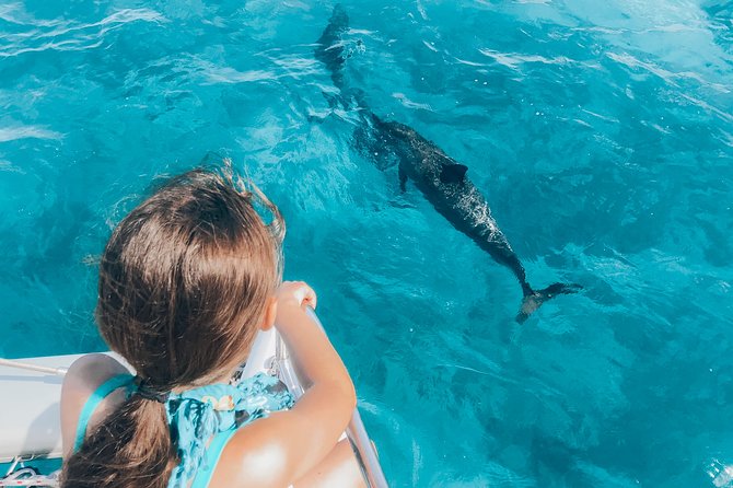 Private Snorkel Trip from Oahu on a Yacht - Who this private charter is best for (and who should think twice)