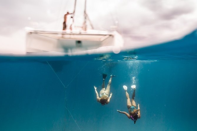 Private Snorkel Trip from Oahu on a Yacht - Price and value: what $2,041.88 per group actually buys