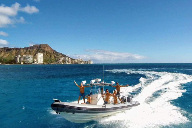 Private Snorkeling and Wildlife on The Adventure Boat - Key things I’d watch for before you book
