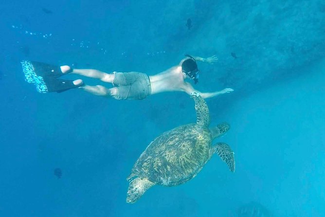 Private Snorkeling and Wildlife on The Adventure Boat - Starting at Ala Moana and getting into the right mode