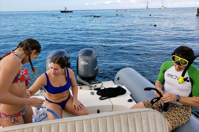 Private Snorkeling and Wildlife on The Adventure Boat - Wildlife strategy: turtles, dolphins, and whale watch energy