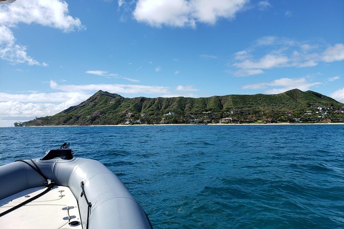 Private Snorkeling and Wildlife on The Adventure Boat - The value math: $725 for up to 6 people