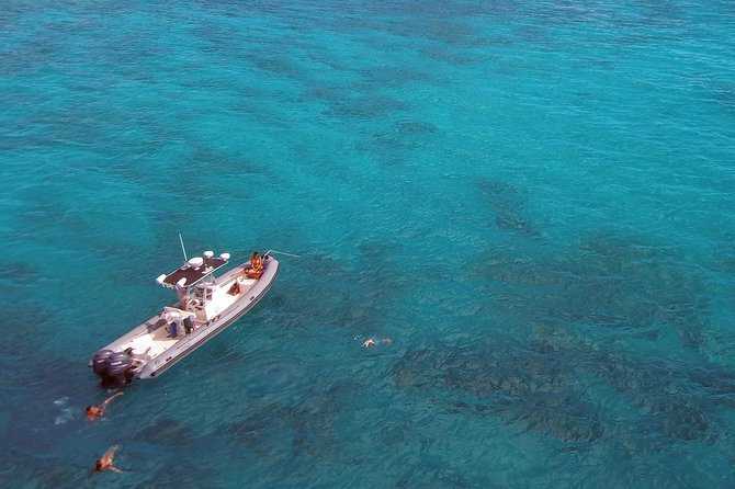 Private Snorkeling and Wildlife on The Adventure Boat - Practical tips for your 2-hour charter