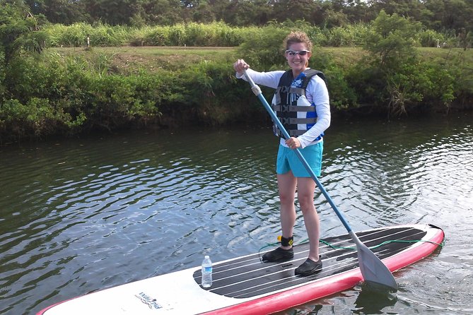 Private Stand up Paddle Lesson and Tour (for 1 or more paddlers) - Turtle Chances: How to Think About Sea Turtle Sightings