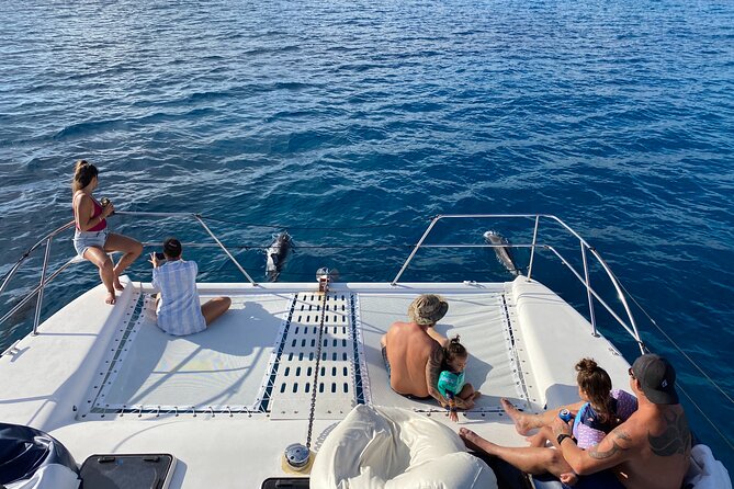 Private Sunset Catamaran Cruise in Waikiki - Timing, meeting point, and what to plan around
