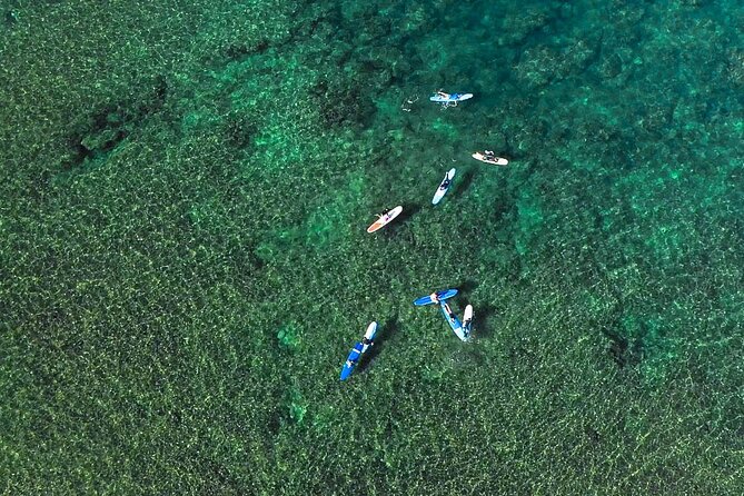 Private Surf Lesson for 3-5 People in North Shore Oahu - Why this private North Shore surf lesson is such a good match for beginners