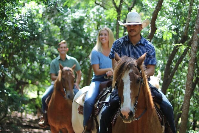 Private Sweetheart Horseback Ride - The private picnic stop: homemade bread, fruit, chips, cookies, and sparkling cider