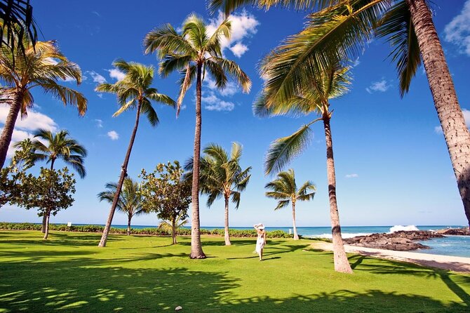Private Transfer from Honolulu (HLN) Airport to Ko Olina - Key things that make this transfer work