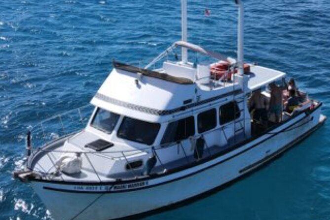 Private Turtle Canyon Snorkel Tour - Up to 6 Passengers - Weather and timing: the two things that control your day