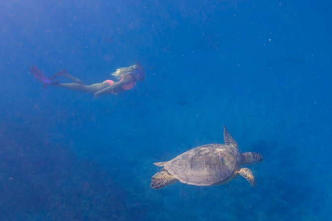 Private Turtle Snorkel & Cruise Waikiki - Timing and boat ride: what the day feels like