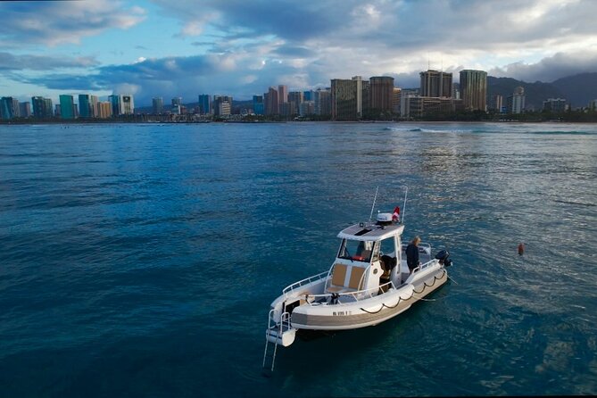 Private Turtle Snorkel & Cruise Waikiki - Practical tips that help you get more from the tour
