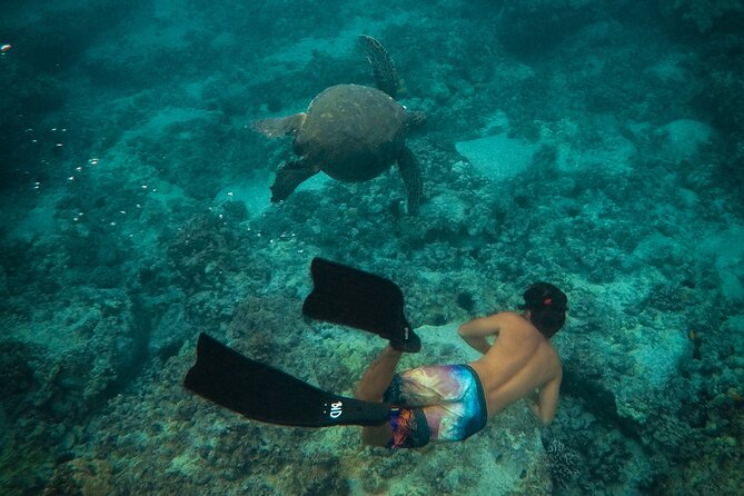 Private Waikiki Boat Charter – Create Your Own Ocean Experience - On-Water Snorkeling: Gear, Flotation, and Real Sea Life