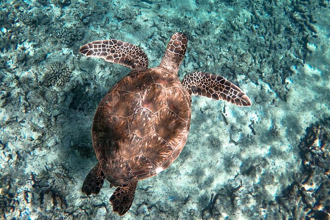 Private Waikiki Boat Charter – Create Your Own Ocean Experience - Price and Value: When $650 Is a Deal