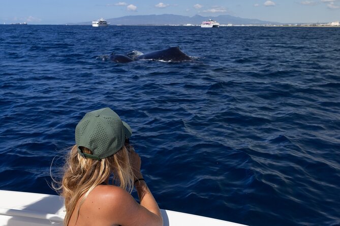 Private Whale Watching Activity: 6 passengers max - Photos, videos, and how the crew helps you spot behavior fast