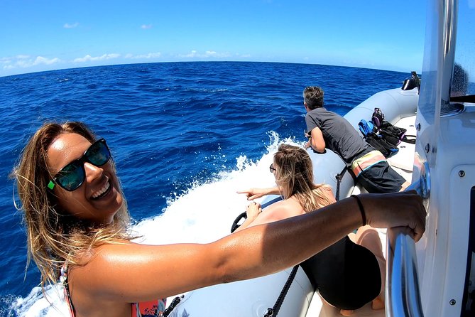 Private Whale Watching Adventure - Key points before you go