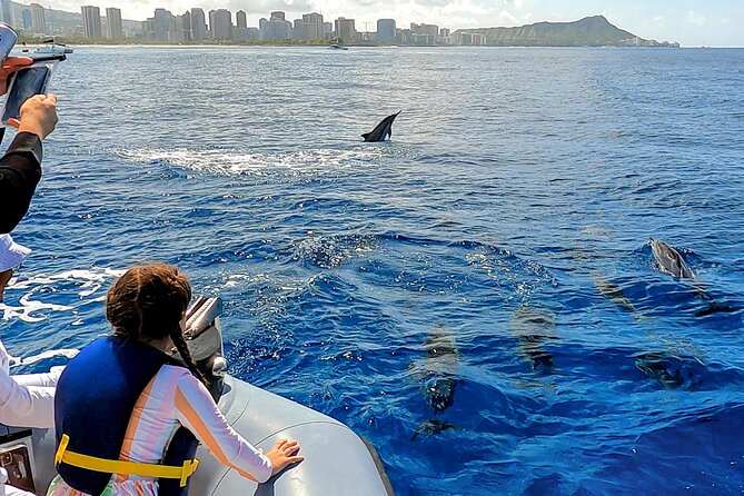 Private Whale Watching Adventure - How the search for whales turns into real sightings
