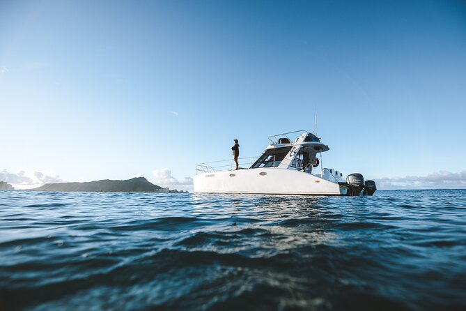 Private Whale Watching and Coastal Swimming Tour Honolulu - Turtles, fish, and the real snorkeling decision